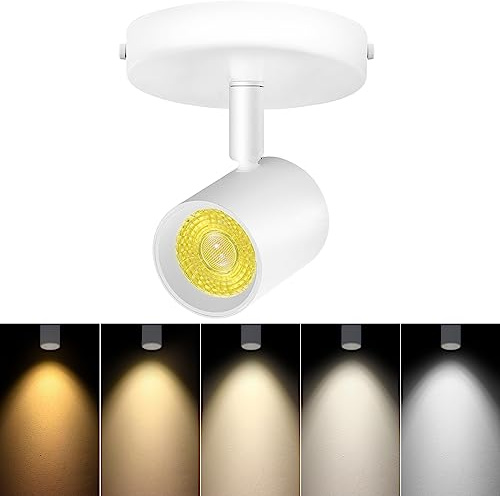 VANoopee 5-Color Dimmable Ceiling Spotlight Flush Mount Adjustable Directional LED Spot Lights Indoor Bright Accent Fixture for Art Picture Living Room Bedroom - CRI90 24° Flicker Free 10W 800lm White