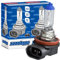 XENOHYPE 2x H11 Classic Halogen Auto Lampe 12V 55 Watt PGJ19-2
