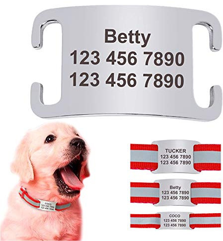 Didog Haustier-ID-Anhänger zum Aufschieben, personalisierbar, Edelstahl, geräuschlos, für Hunde und Katzen, Größe XL