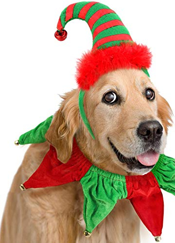 BoomBone Hunde-Elfenmütze mit Glöckchen, Stirnband und Weihnachts-Halsband - Ideal für Hunde, Winter, Weihnachten, rot und grün, Baumwolle, Kostüm