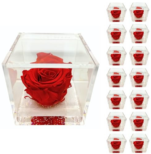 PremiumRose 15 Cubi Rosa Rossa Stabilizzata e Profumata da 6 cm con Rosa Eterna Vera, Idea Regalo Mamma, Fidanzata, Amica, Idea Regalo per Compleanno, Laurea, Matrimonio, Made in Italy (15 Pezzi)