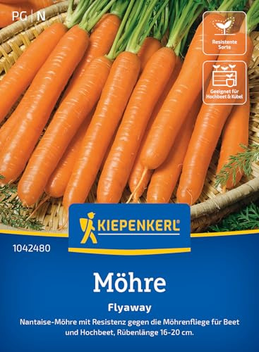 Kiepenkerl Möhrensamen Flyaway 1042480, Gemüsesaat | Rübenlänge von 16-20 cm, Inhalt für 8-10 laufende Meter, aromatisch