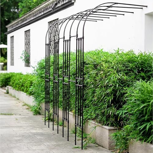 Arche de jardin en métal - Treillage mural pour plantes grimpantes - Support extérieur - Pour jardin, pelouse, patio, cour