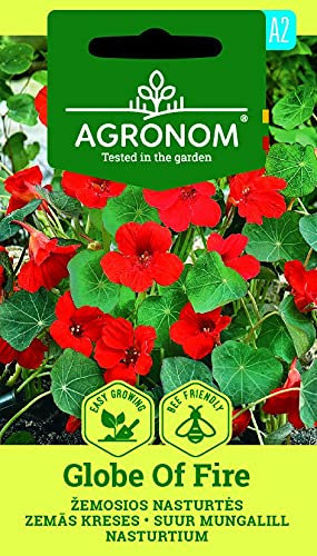 AGRONOM | CAPUCINE GLOBE OF FIRE des graines | Graines de fleurs | 1 Paquet