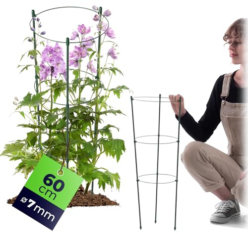 KADAX Tuteur pour plantes grimpantes - 60 cm - 1 pièce - En acier - Support pour plantes grimpantes dans le jardin ou pot de fleurs - Tour pour tomates