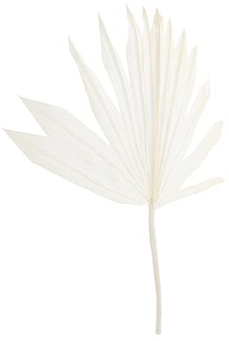 Palmblatt Hochzeitsdekorationen Stengelgetrocknetes Blatt Kunstpflanzen Party-Szene-Layout-Requisite Tropische Palmenblätter Künstlich Natürlich Zubehör Weiß Getrocknete Blumen