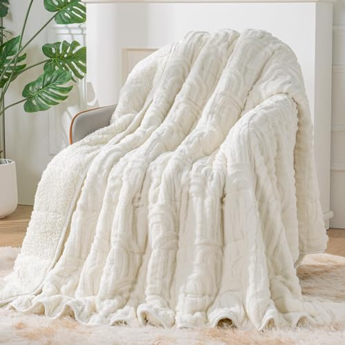 Sherpa Fleece Adult Weighted Blanket Great for Sleep, 15 lbs Dual Sided Soft Fuzzy Heavy Blankets for Couch Bed Sofa, Cozy Warm Arched Jacquard Throw for Winter (Cream White, 48 x 72, 15 Pounds)