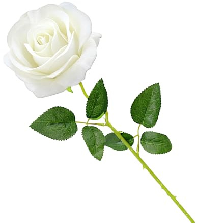 Cosswe Künstliche Seidenrose, künstliche Rose, ewige Blumen, einzelner Stiel als Geschenk verpackt Rosen für Hochzeitssträuße Jubiläen Partys Hotels Büro-Dekoration (Weiß)