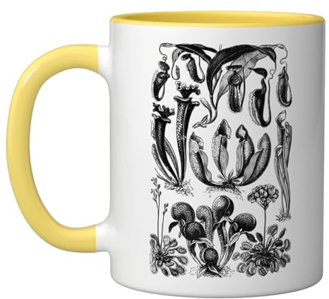Carnivorous Plants Vintage Sarracenia Botanical Ceramic Mug, Yellow/White