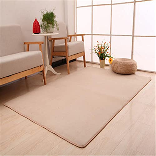 Alfombra de Terciopelo Coral Grueso de Color sólido Calidad Creciente Suave Lavable Antideslizante Grande Rugs Rug Minimalista Moderna Sala De Estar Dormitorio Tatami Gateando Estera -120×140cm