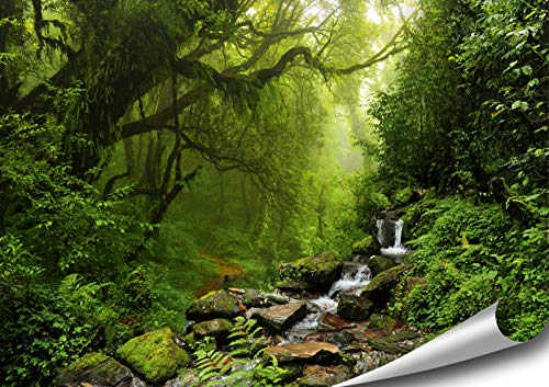 ARTBAY Wald Poster XXL - 118,8 x 84 cm | Wasserfall im Regenwald | Urwald | Nepal | Natur Poster | Premium Qualität