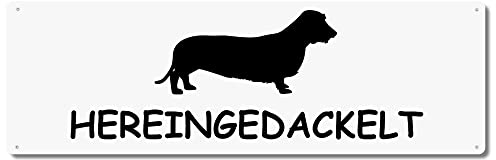 Interluxe Schild Metallschild - Hereingedackelt - witziges Willkommensschild dog Dackel für Gäste Freunde Familie Besuch Dekoration Eingang Flur Mitbringsel Geschenkidee für Frauchen Herrchen