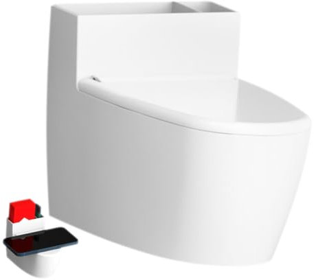 PHENOFICE Aschenbecher Toilettenform Mit Deckel Für Badezimmer Wandmontage Aus Edelstahl Und Abs-material Platzsparend