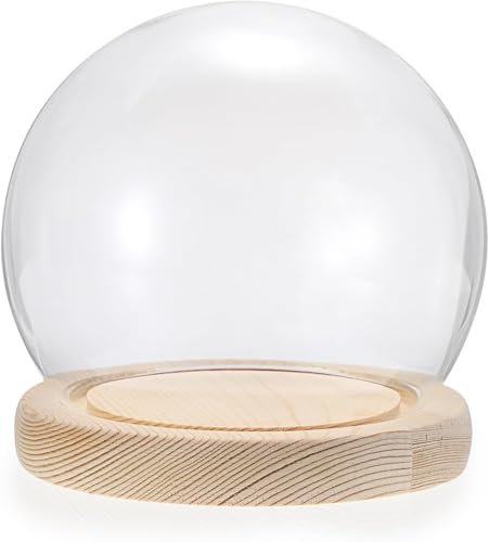Glass Display Tabletop Display Jars, Glass Dome Decorative Jars, Glass Dome Cloche With Wood Color Solid Wooden Base, Bell Glass Jars For Flower Specimens Home Decor DIY(30cm)