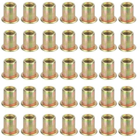 QUARKZMAN 60Pcs M6 x 12mm Rivet Nut Acier Au Carbone Outil Rivet Nut Quincaillerie Ecrous Revetement Zinc Insert Filete Adapte pour Furniture, Industrial