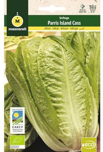 Mascarell Semillas, LECHUGA PARRIS ISLAND COSS, Semillas Ecológicas, 3 Gramos