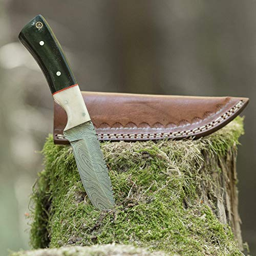 elToro Buffalo Horn - Damast - Jagdmesser - 10cm - inkl.Lederscheide | Messer für Camping, Outdoor, Survival, Wald und Forst