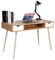 WOLTU Schreibtisch mit 2 Schubladen, Computertisch 120x58cm, Bürotisch mit 1 offenen Fach, Arbeitstisch, PC Laptop Tisch, Wohnzimmer, Gestell aus Stahl, Holz, Eiche