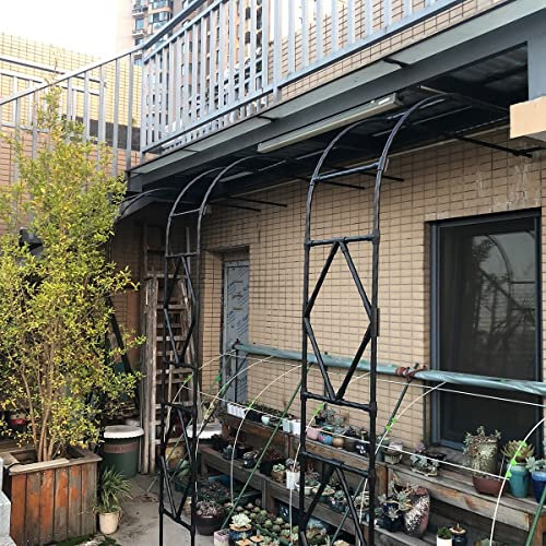 Halbbogen Gartenbogen Stützgitterbogen Wird Für Gemüse/Blumen/Früchte Verwendet Garten Terrasse Spalier Kletterpflanze Witterungsbeständig H240cm Schwarz/Weiß(Schwarz,W 300cm X H 240cm)