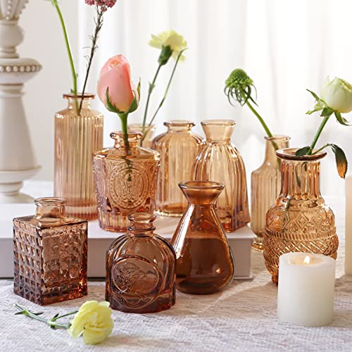 Vase Glas Bernstein Set 10er,Blumenvase Klein Vasen für Tischdeko Konfirmation Mini Vasen für Hochzeit Office Garden Décor Als Einzugsgeschenk für Freunde und Familie Verwendet Werden