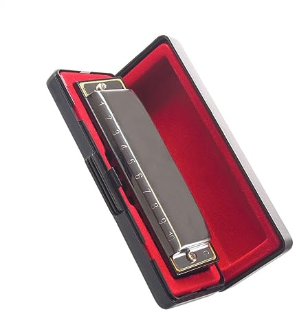 Anfänger Mundharmonika Silberne Diatonische Harfen-Mundharmonikas, 10 Löcher, 20 Töne, C-Tasten-Mundharmonika-Instrument Mit Box