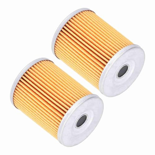ERYUE 2 PCS Elément de Filtre à Huile, 0800-011300 Remplacement de CF Moto Uforce ZFORCE 2012-2018, éliminer les Impuretés Telles que la Poussière, les Particules Métalliques, les