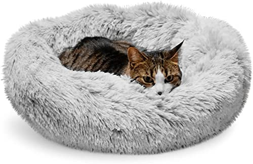 Whiskers & Friends Kattbädd, tvättbara bäddar för inomhuskatter, ortopedisk mjuk och fluffig rund lugnande husdjursbädd för små till stora katter, kattungar och hundar, små hundbäddar och möbler