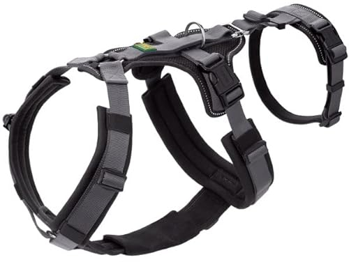 Sicherheitsgeschirr Maldon Farbe schwarz/grau, Größe XS-S