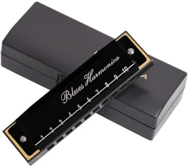 Mundharmonika-Set Mundharmonika C-Tonart 10 Löcher Mundharmonika Maultrommel Professionelle Musikinstrumente Mit Etui(Black)