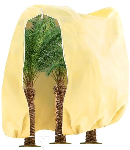 Aolawco 1 StüCk Pflanzenschutz Winter,300x300cm Frostschutz Pflanzen,80g/㎡Winterschutz für KüBelpflanzen mit Zugband und ReißVerschluss Pflanzen DraußEn Palmen Olivenbaum Winterschutz