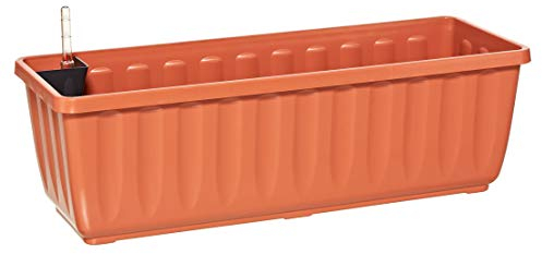 Dehner Blumenkasten Aqua-Flor Plus mit Bewässerungssystem, ca. 58.5 x 22 x 19 cm, Kunststoff, terracotta
