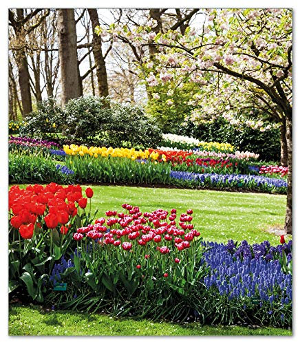 Wallario Herdabdeckplatte/Spritzschutz aus Glas, 52 x 60 cm, 1-teilig mit 13 mm hohen Füßen, für Ceran- und Induktionsherde, Bunte Blumen und Kirsch-Baum im Park blühen im Frühling