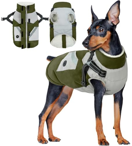 Hundejacke Kleine Hunde, Hundemantel Wasserdicht Warme Winter Hundejacke mit Geschirr Wintermantel für Kleine Hunde Warme Kleidung Chihuahua Französische Bulldogge Mantel(Armeegrün, S)