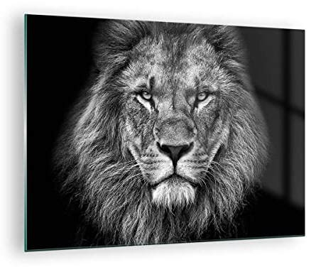 Quadro su Vetro Ritratto Leone Bianco E Nero Stampe da Parete in Vetro 70x50cm Quadri Moderni Soggiorno Camera da Letto Cucina 1 pezzo Piccoli Decorazione Murale Wall Art Immagini GAA70x50-4494