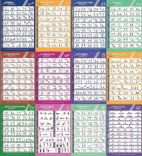 Profit Neue Sportübung Fitnessstudio zu Hause – 12 Fitness-Poster, laminierte Folie für Übungen für Männer und Frauen, elastische Bänder, Yoga, Kugelhanteln, Hanteln usw