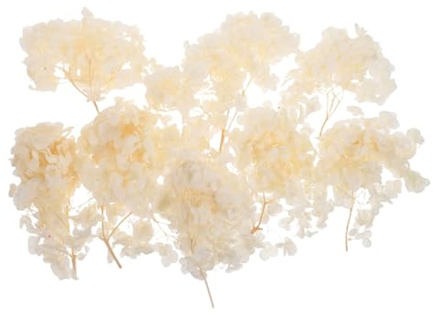 SHINEOFI di Ortensia Essiccati e Conservati Elegante Decorazione Naturale per Matrimoni Feste e Progetti DIY Durevoli e Morbidi per Composizioni Floreali