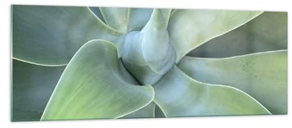 Moderno Quadro in Vetro 140x50 cm Stampe da Parete Botanica Fiori - 5451