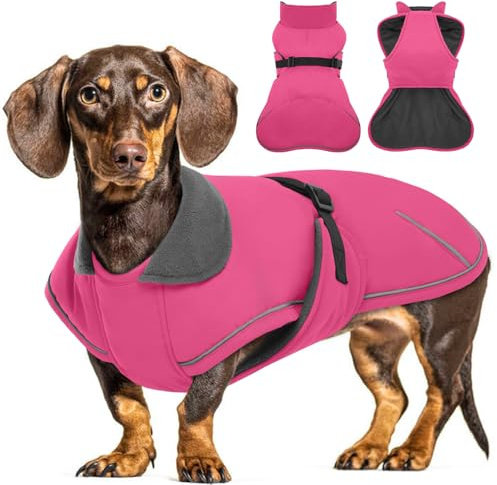 Hjyokuso Hundemantel Dackel S, Winddichter Wasserdichter Wintermantel Für Dackel Hunde, Hundejacke Für Große Hunde, Hundemantel Winter Mit Bauchschutz Und Leinenloch, Winterjacken Für Hunde - Rosa