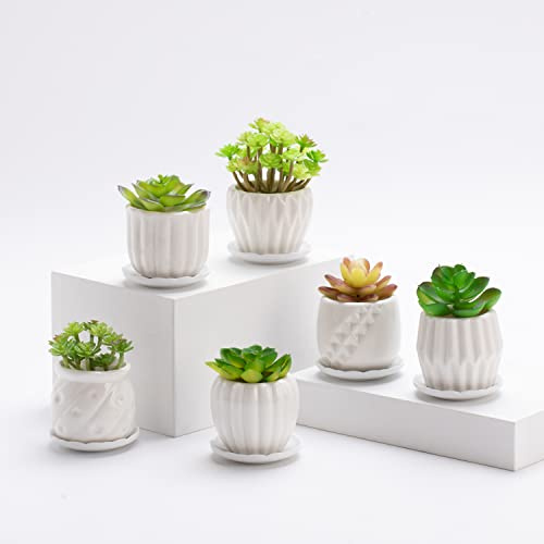 Set von 6 weißen einfachen Porzellan-Pflanzgefäßen für kleine Blumentöpfe, Sukkulenten, Kakteen, mit Drainage und Untersetzer, für Zuhause, Büro, Dekoration, Geschenk (weiße Streifen)