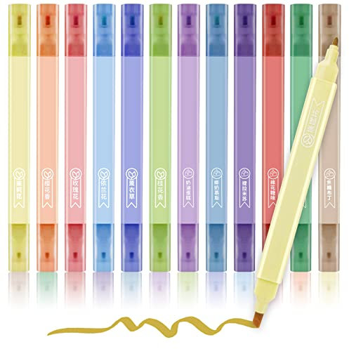 Ysimple 12 Penne Set Evidenziatori Pastello,Evidenziatore Pastello,Doppia Punta Evidenziatori,non Penetra,per Studenti,Ufficio,Scuola,Blocchi Note,Bibbie,Agende e Appunti(Quadrato)