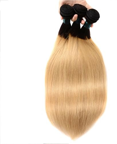 Tissage En Lot Naturel Lisse Couleur Ombré, Bleu Violet, Racines Foncées, Blond Foncé, Bordeaux, 1 Pièce