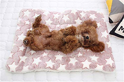 Dreamskull Hundematte Hundekissen Hundedecke Katzendecke Katzenmatte Hundebett Matte Decke Bett Hund Kleine Große Hunde Katzen Haustiere Flauschig und Weich Waschbar Plüsch Kuschelig (91*70cm, Rosa)