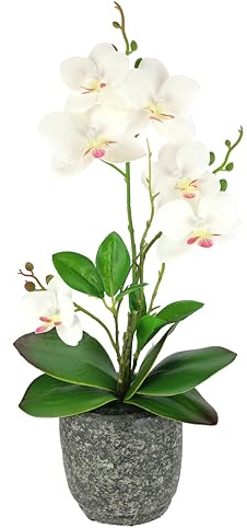 Fleur Artificielle Papillon orchidée avec Feuilles et Racines aériennes dans Un Pot en céramique Fleur Artificielle orchidée phalaenopsis avec Pot Plante Artificielle décoration Mariage Fleur en Soie