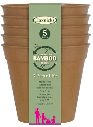 Haxnicks Sustainable Bamboo Fibre Plant Pot in Terracotta, 3 Inch Diameter, 160ml Capacity, Pack of 5, Biodegradable & Home Compostable, POT160201