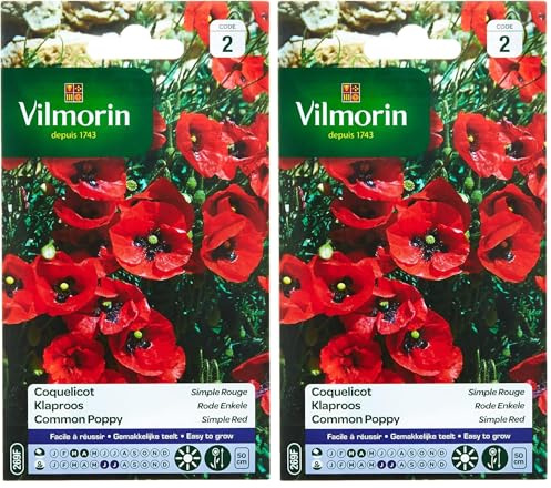 Vilmorin 5241442 Coquelicot Simple, Rouge, 90 x 2 x 160 mm (Lot de 2)