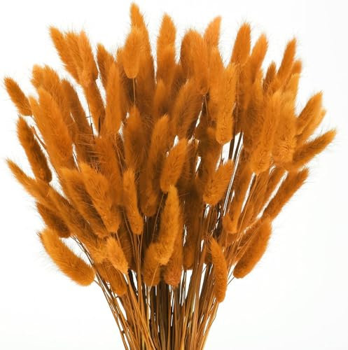Minnhua 120 Pezzi Fiori Secchi Decorativi,Pampas Decorative, Arancione Fiori Essiccati di Bunny Tails,Fiori Secchi Naturali,Erba di Pampa Essiccata Naturale per Matrimoni, Feste, Decorazioni Boho