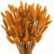 Minnhua 120 Pcs Ramo de Hierba de Pampas Seca,Flores Secas de Cola de Conejo,Pampas Secas Decoracion,Hierba de Pampas Naranja,Flores Secas Naturales Decoracion,Decoración de Mesa Boho,Bodas, Hogar