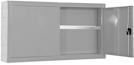 PROREGAL Armoire à Outils Suspendue AMEGO | 1x Etagère | HxLxP 55x90x27,5cm | Métal | Verrouillable | Gris | Armoire d'atelier