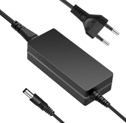 Jytyto Adattatore 12 V 4 A AC/DC Compatible with CWT Channel Well Technology PAA040F 3.3A 40 W LCD Monitor TV Power Supply Cord Cable Charger