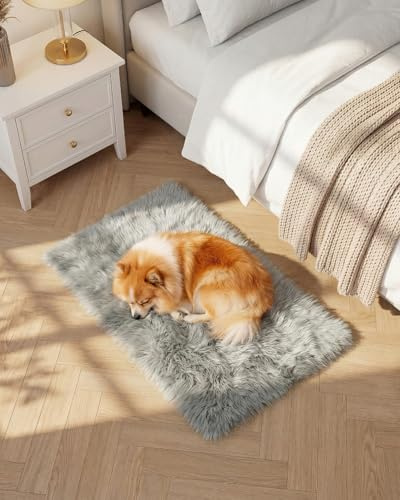 Gofodsil Plüsch Faux-Schaffell Shaggy Teppich, waschbar,Hellgrau 50x80cm | Ultraweicher, flauschiger Flor für Wohn- und Schlafzimmer, Yoga und Schlafsaal; maschinenwaschbar für einfache Pflege